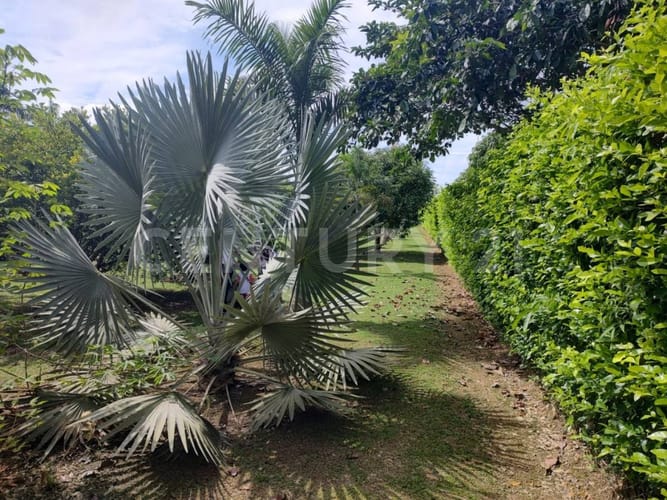 Casa de 9 alcobas en venta en Alto De Pompeya, Villavicencio, 650 m² · foto 20 de 20
