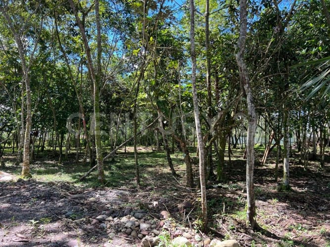 Lote en venta en Granjas Forestales Balmoral, Villavicencio, 5120 m² · foto 2 de 5