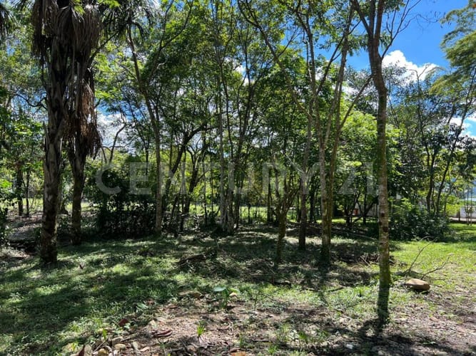 Lote en venta en Granjas Forestales Balmoral, Villavicencio, 5120 m² · foto 3 de 5