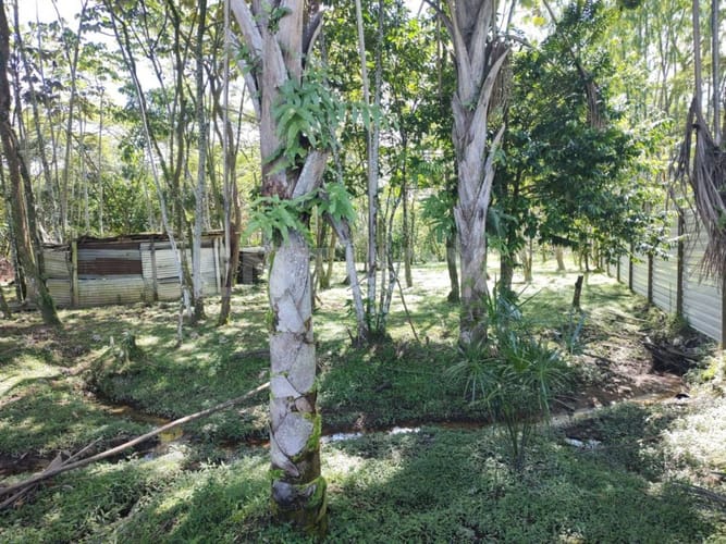 Lote en venta en Granjas Forestales Balmoral, Villavicencio, 5120 m² · foto 5 de 5