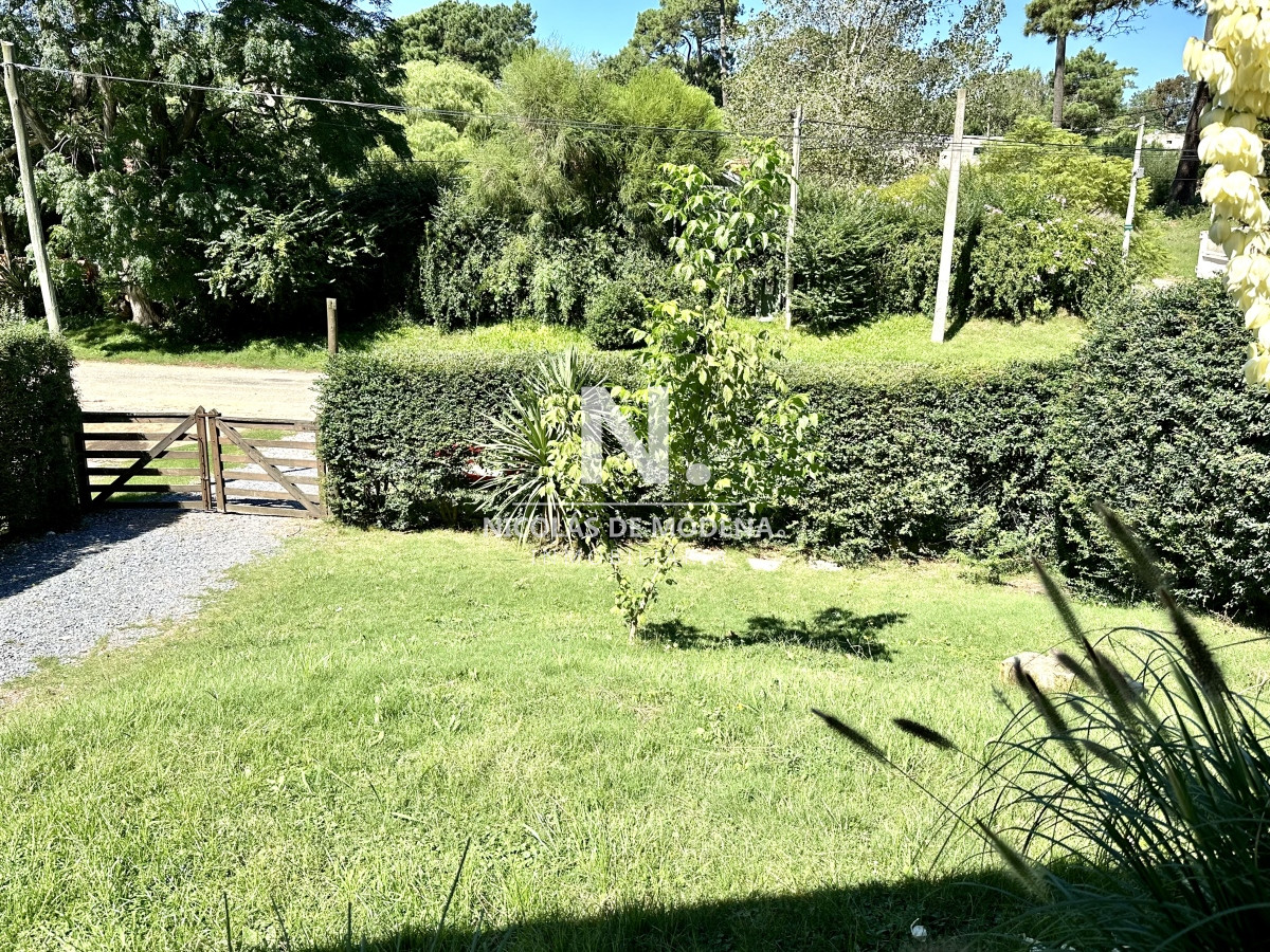Foto 4 de 24