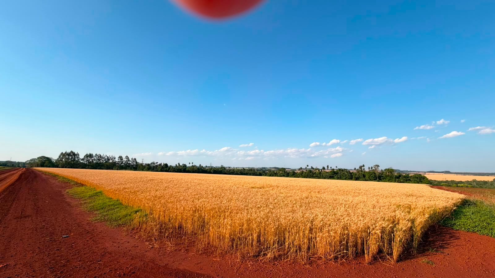 TERRENO PARA INDUSTRIA EN VENTA – YGUAZÚ