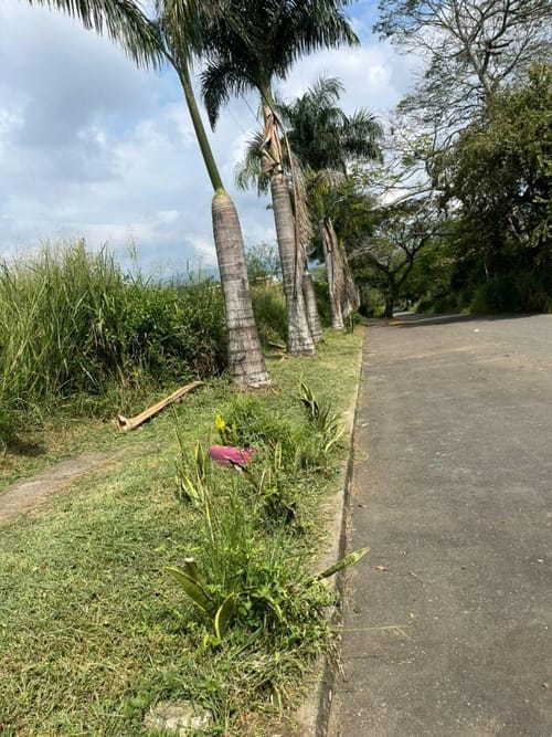 Lote en venta en Porerito, Jamundí, 68 m² · foto 19 de 24