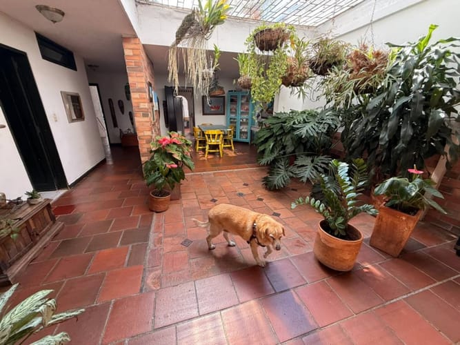 Casa de 7 alcobas en venta en Cabecera Del Llano, Bucaramanga, 461 m² · foto 5 de 20
