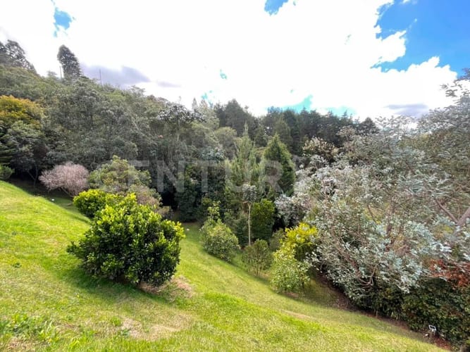 Casa de 3 alcobas en arriendo en La Mosquita, Guarne, 236 m² · foto 18 de 18