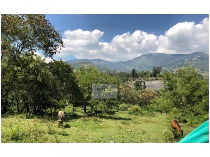 Lote en venta en Ub. Reserva De San Juan, Copacabana, 8400 m² · foto 7 de 11