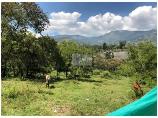 Lote en venta en Ub. Reserva De San Juan, Copacabana, 8400 m² · foto 8 de 11