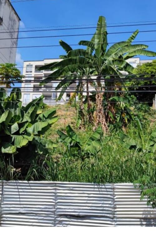 Lote en venta en Bellavista, Cali, 250 m² · foto 5 de 5