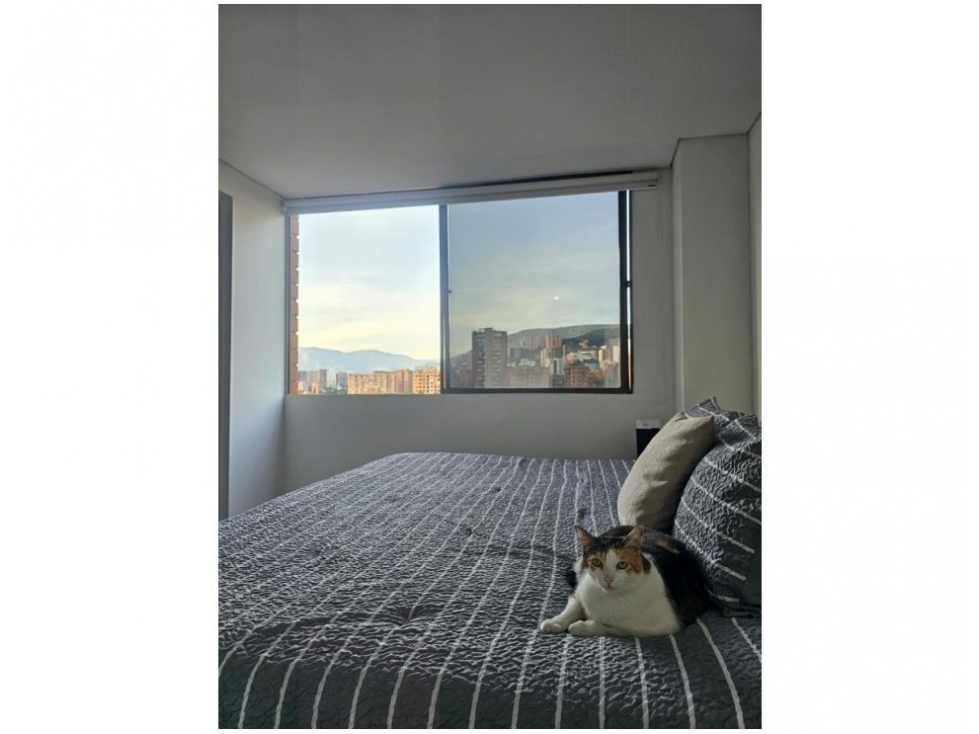 Apartamento en venta en El Poblado, Medellín · foto 3 de 24
