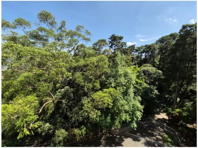 Apartaestudio en venta en Los Naranjos, Medellín, 56 m² · foto 5 de 13