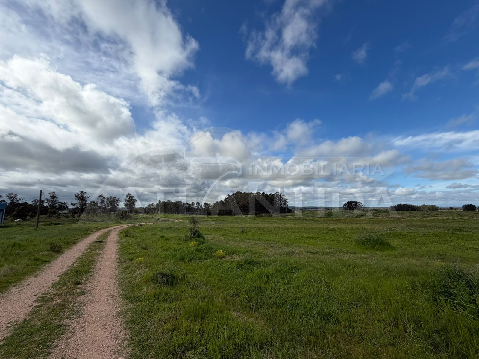 Alquiler De Hermoso Campo, 3 Hectareas, Camino Delgado, A 15 Minutos De Atlantida. Inmo Atlantida · Foto 4