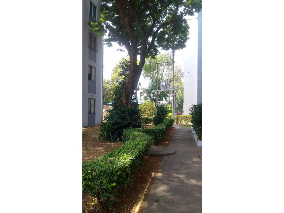 Apartamento en venta en Colseguros Andes, Cali · foto 8 de 9