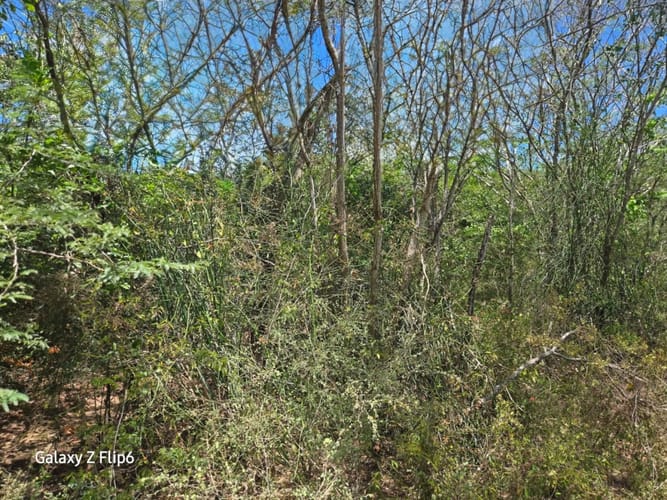 Lote en venta en Bayunca, Cartagena, 10000 m² · foto 4 de 9
