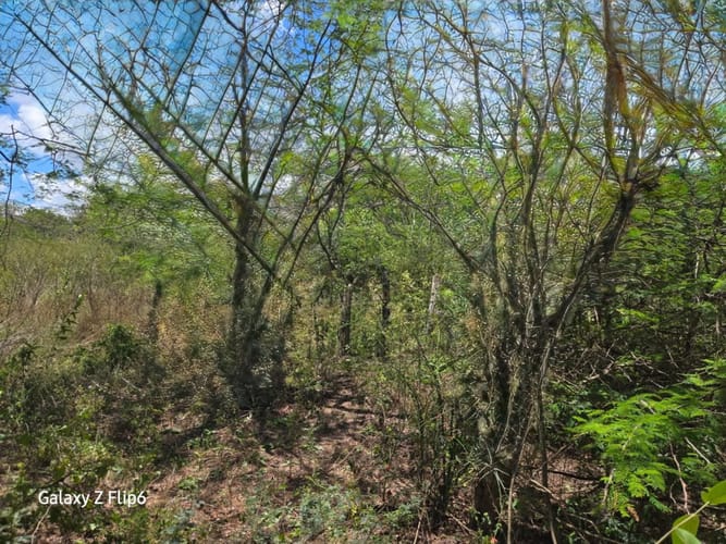 Lote en venta en Bayunca, Cartagena, 10000 m² · foto 5 de 9