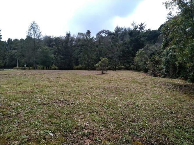 Lote en arriendo en Pantanillo, Envigado, 17000 m² · foto 2 de 8
