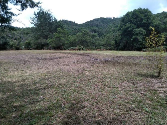 Lote en arriendo en Pantanillo, Envigado, 17000 m² · foto 3 de 8
