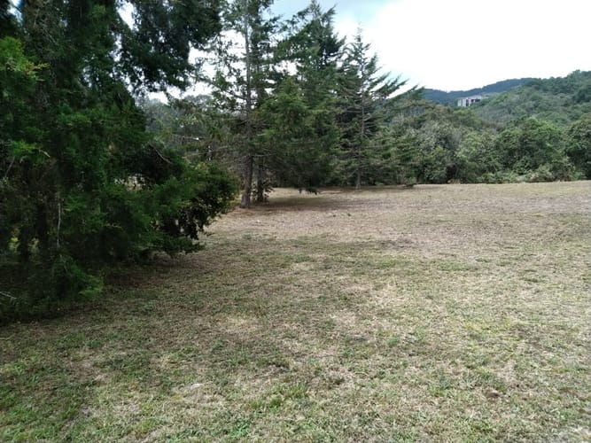 Lote en arriendo en Pantanillo, Envigado, 17000 m² · foto 4 de 8