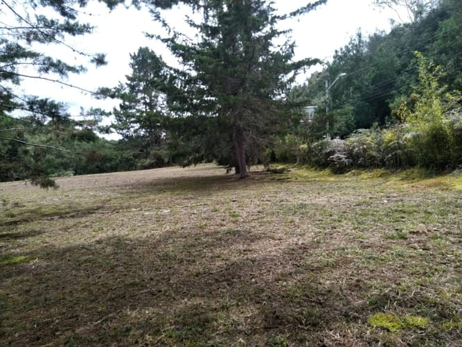 Lote en arriendo en Pantanillo, Envigado, 17000 m² · foto 5 de 8