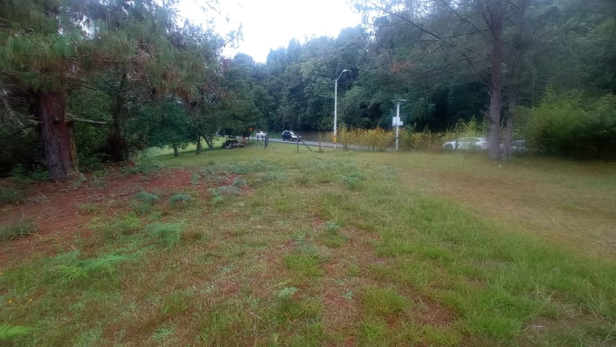 Lote en arriendo en Pantanillo, Envigado, 17000 m² · foto 6 de 8