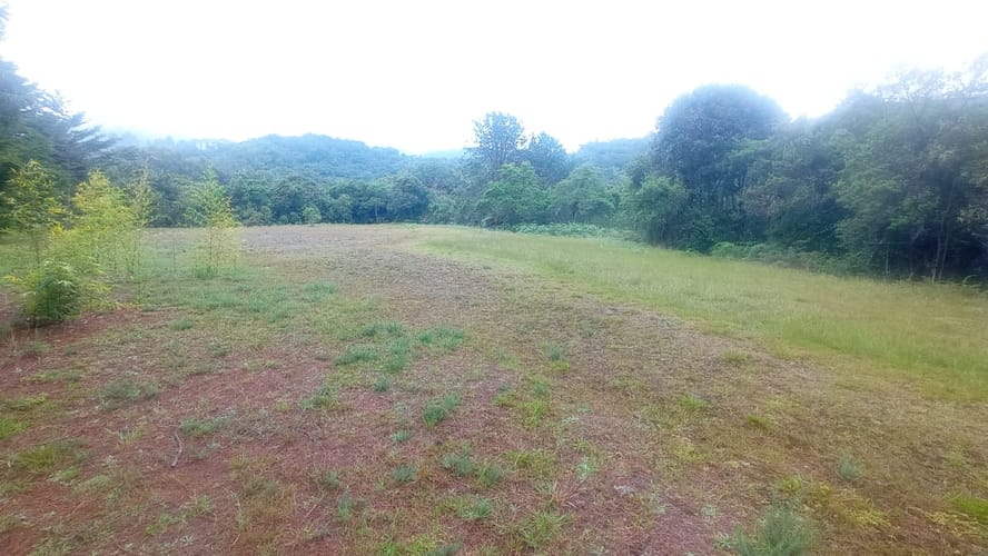 Lote en arriendo en Pantanillo, Envigado, 17000 m² · foto 7 de 8