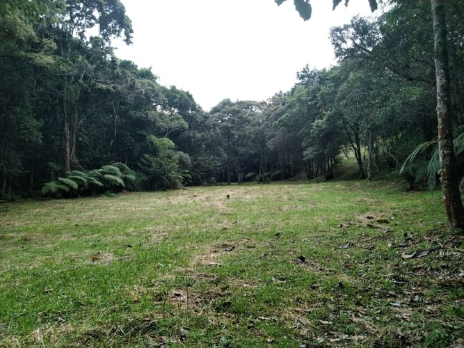 Lote en arriendo en Pantanillo, Envigado, 17000 m² · foto 8 de 8
