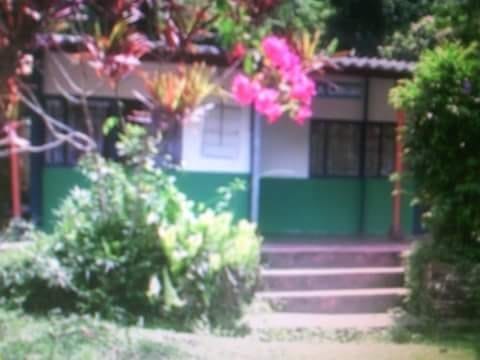 Finca en venta en El Totumo, Ibagué, 18000 m² · foto 4 de 15