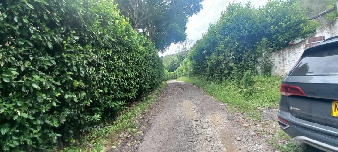 Finca en venta en El Totumo, Ibagué, 18000 m² · foto 9 de 15
