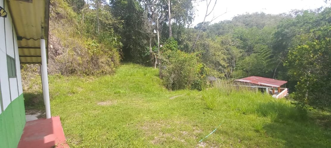 Finca en venta en El Totumo, Ibagué, 18000 m² · foto 8 de 15