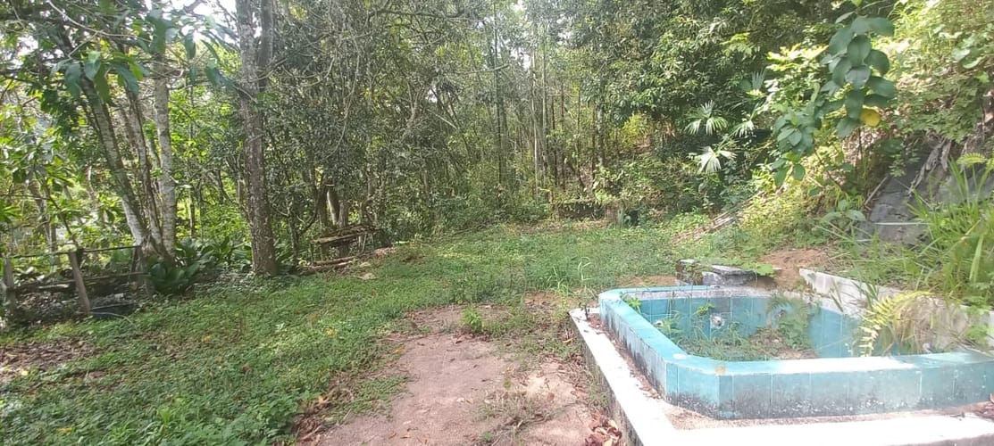 Finca en venta en El Totumo, Ibagué, 18000 m² · foto 6 de 15