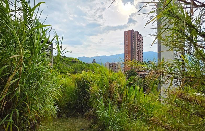 Lote en venta en Las Lomitas, Sabaneta, 4826 m² · foto 9 de 24