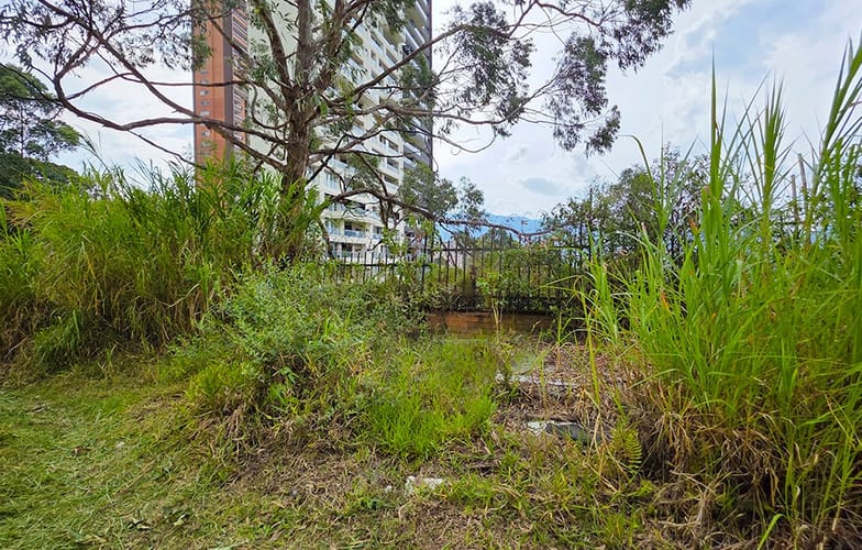 Lote en venta en Las Lomitas, Sabaneta, 4826 m² · foto 23 de 24