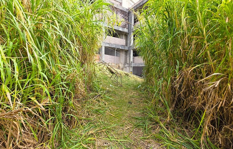 Lote en venta en Las Lomitas, Sabaneta, 4826 m² · foto 16 de 24