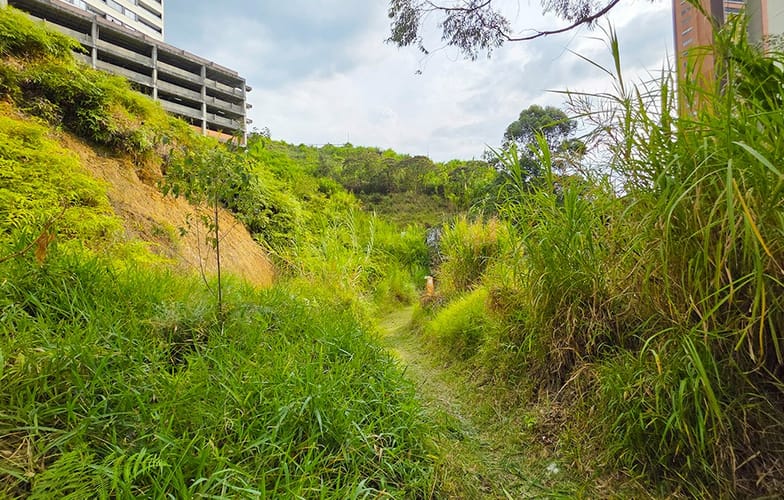 Lote en venta en Las Lomitas, Sabaneta, 4826 m² · foto 12 de 24