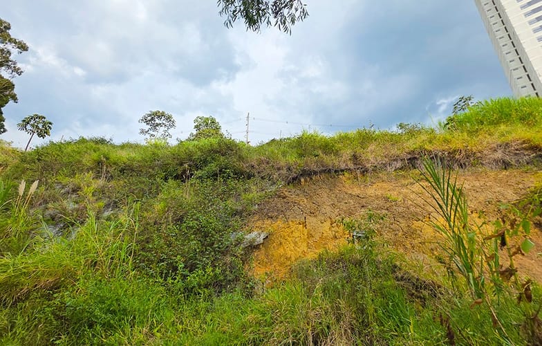 Lote en venta en Las Lomitas, Sabaneta, 4826 m² · foto 19 de 24