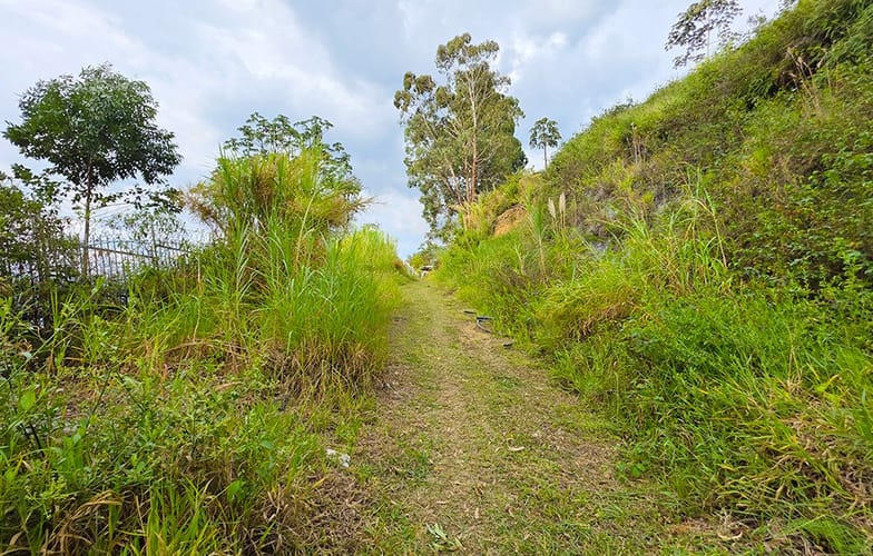Lote en venta en Las Lomitas, Sabaneta, 4826 m² · foto 21 de 24