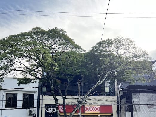 Local en venta en Cristales, Cali, 447 m² · foto 4 de 4