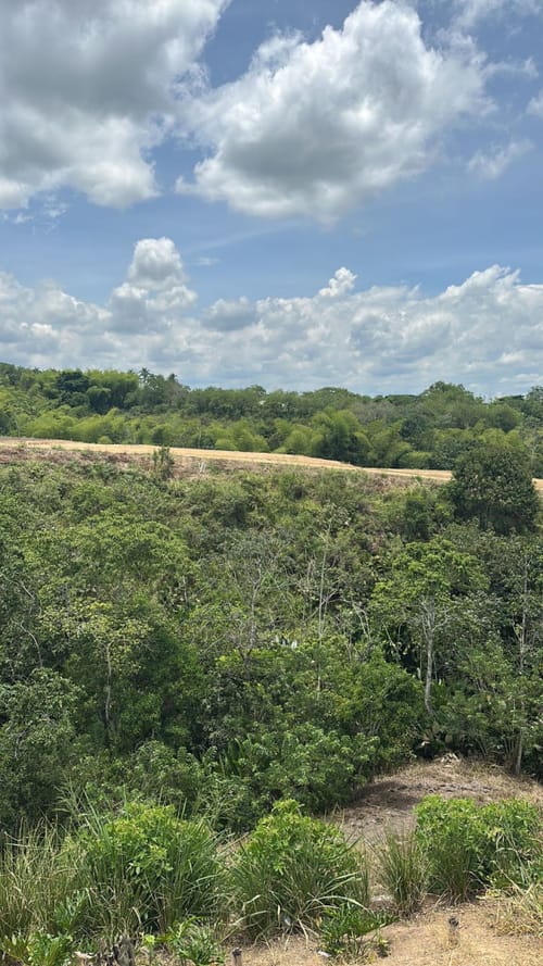 Lote en venta en Cerritos, Pereira, 2000 m² · foto 11 de 12