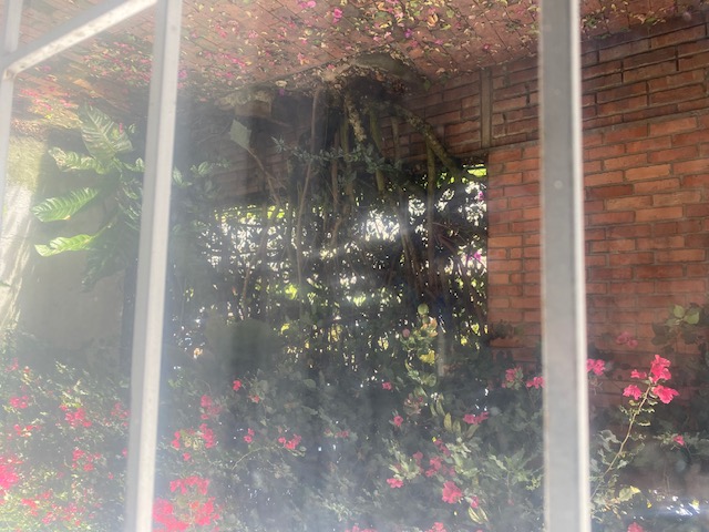 Casa en venta en Cedritos, Bogotá · foto 22 de 24