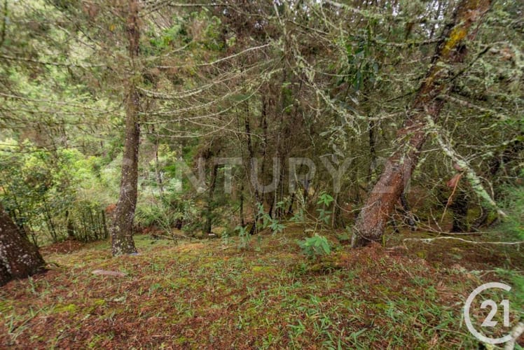Lote en venta en El Chuscal, El Retiro, 1210 m² · foto 3 de 9