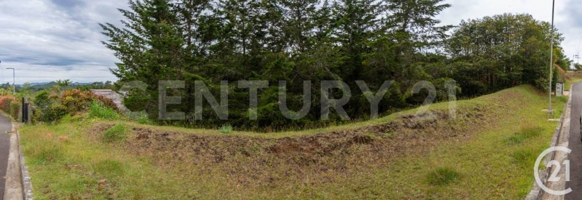 Lote en venta en El Chuscal, El Retiro, 1210 m² · foto 5 de 9