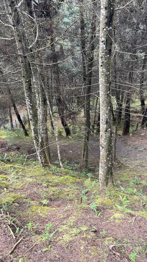 Lote en venta en El Chuscal, El Retiro, 1210 m² · foto 8 de 9