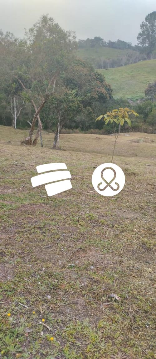 Lote en venta en El Carmen De Viboral, El Carmen de Viboral, 2817 m² · foto 7 de 13