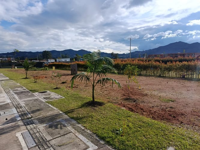 Lote en venta en El Tambo, La Ceja, 171 m² · foto 5 de 5
