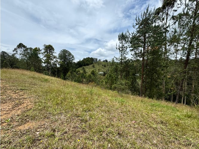 Lote en venta en El Retiro, 9381 m² · foto 5 de 5