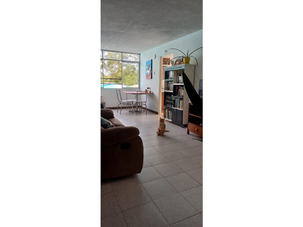 Apartamento en venta en Bloques Rincon De Yulima, Armenia · foto 7 de 12