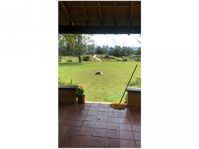 Finca en venta en El Carmen De Viboral, El Carmen de Viboral, 75 m² · foto 3 de 17