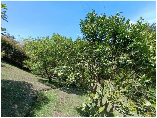 Casa de 3 alcobas en venta en Guamito, La Ceja, 330 m² · foto 15 de 17