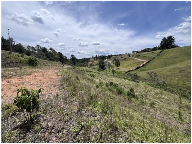 Lote en venta en El Carmen De Viboral, El Carmen de Viboral, 2537 m² · foto 4 de 9
