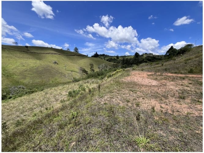 Lote en venta en El Carmen De Viboral, El Carmen de Viboral, 2537 m² · foto 7 de 9