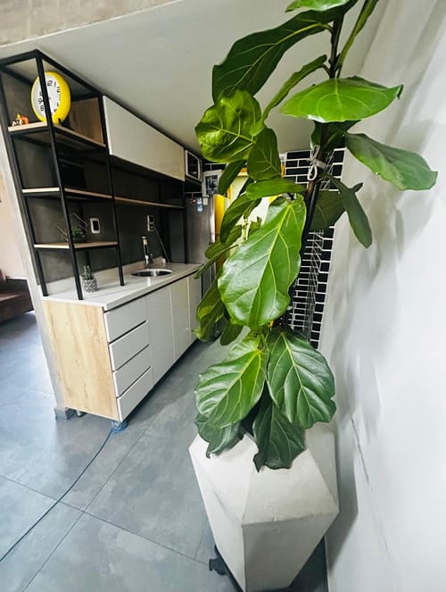 Oficina en arriendo en Centro, Bucaramanga, 65 m² · foto 15 de 20